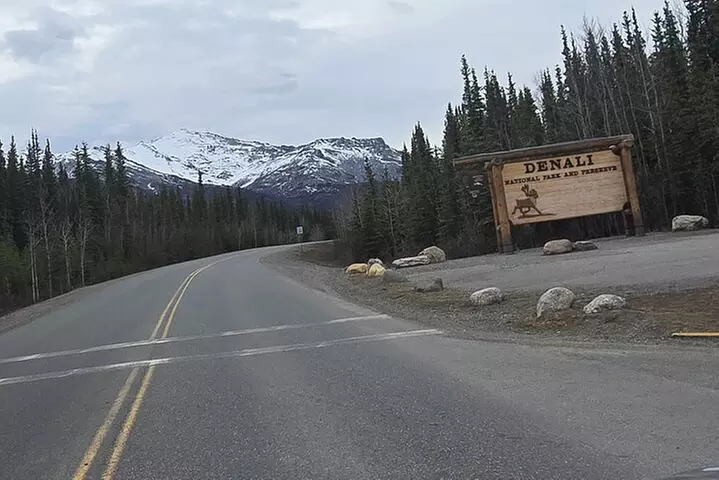 Denali National Park Shuttle