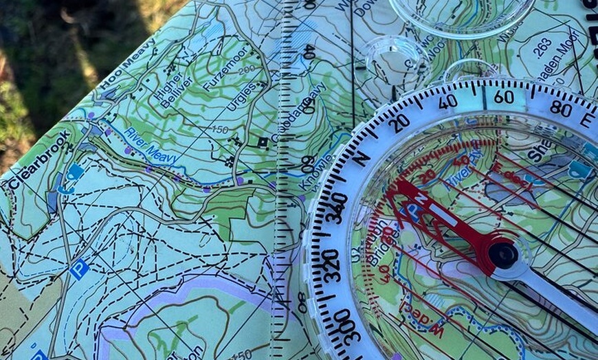 Image 6: Half day Guided Dartmoor Tour