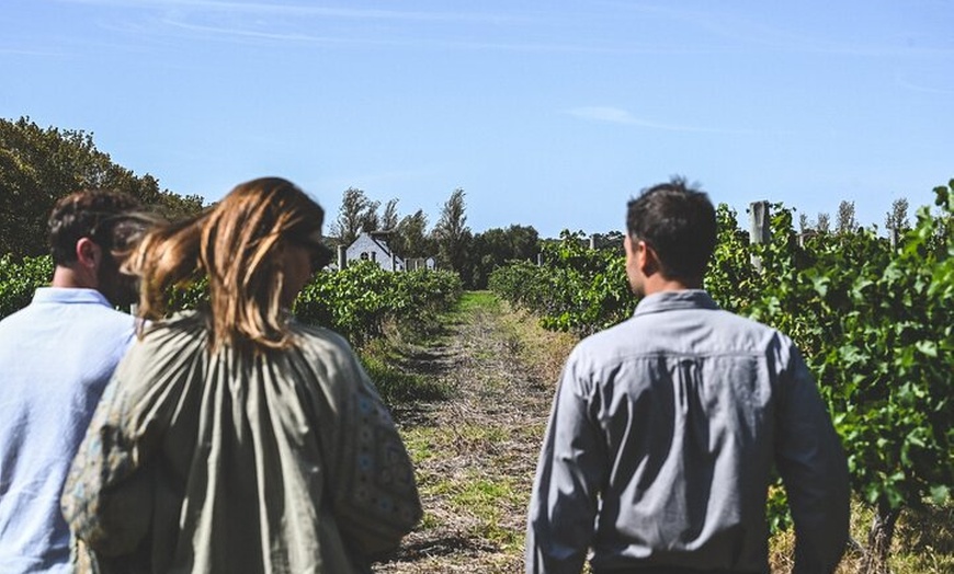 Image 3: Unearth Voyager