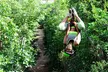 Best ATV Tour, Horseback Riding, Zip Lines, Cenote Swim, Tequila Tasting - Second Medium