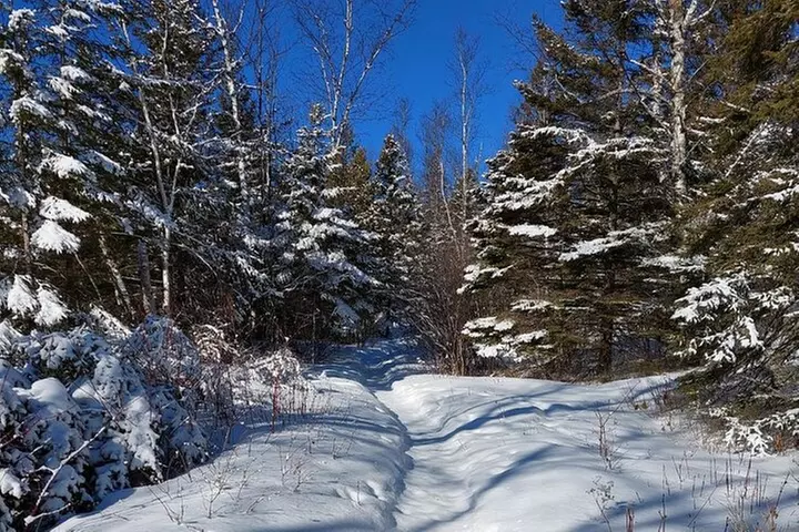 Hok Skiing Knife River Loop, Two Harbors - Primary Image