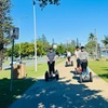 Image 13: Gold Coast Segway Sightseeing Tour
