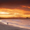 Image 9: Byron Bay Discovery Day from Gold Coast