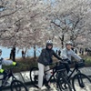 Image 15: Customized Private Bike Tour of DC