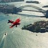 Image 7: Sydney Harbour Joy Flight in the Pitts Special