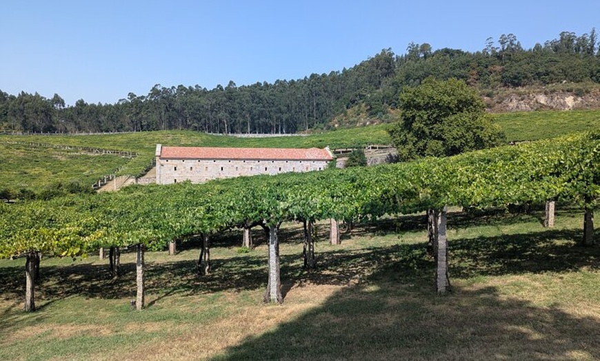 Image 17: Tour privado de un día con todo incluido por Galicia