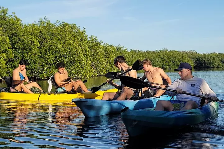 Kayak through Mangrove Forests in the Florida Keys