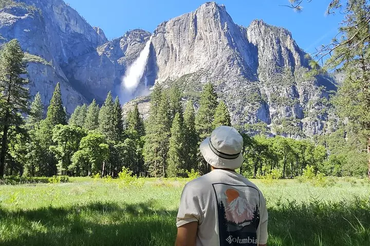 Yosemite National Park: Full Day Tour from San Francisco