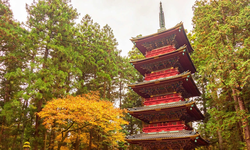 Image 10: ✈ GIAPPONE | Tokyo - City break a Tokyo ed evasione in ryokan, 9 no...