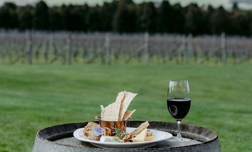 Image 9: Eventide Sanctuary Farm Tours and Richmond Old Town