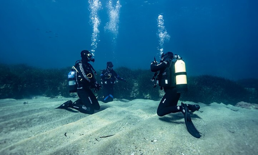 Image 6: Experiencia de buceo con instructor SSI en Cap Formentor