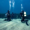 Image 6: Experiencia de buceo con instructor SSI en Cap Formentor