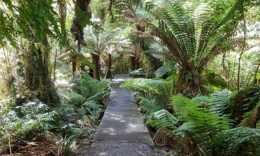 Image 14: Great Ocean Road Private Luxury Tour