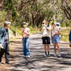 Image 13: Great Ocean Road Reverse Itinerary Boutique Tour - Max 11 Guests