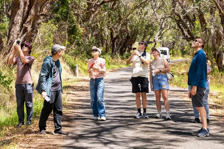 Great Ocean Road Reverse Itinerary Boutique Tour - Max 12 Guests