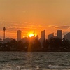 Image 6: Sydney: Golden Hour City Escape with Sunset, Picnic and Photos