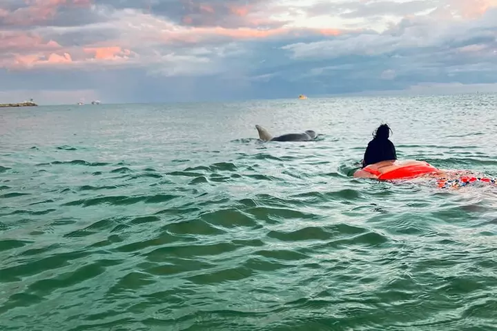 Destin Private Boat Tours Dolphin Crab Island Snorkel Sunset