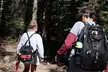 Guided Hike in Rocky Mountain National Park - Second Medium