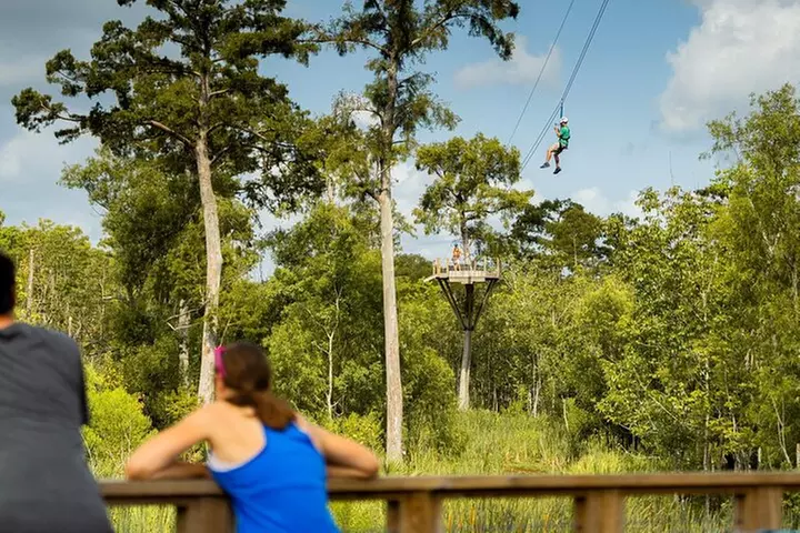 New Orleans Zipline Swamp Tour