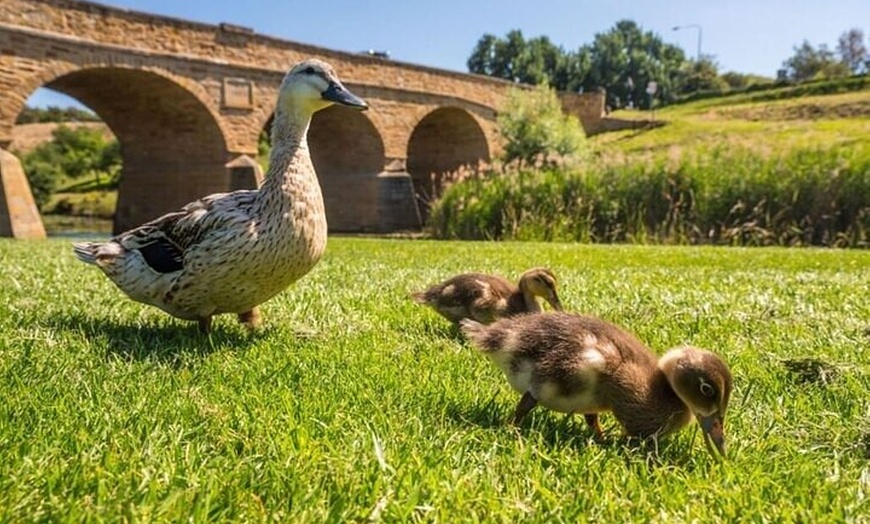 Image 4: Richmond Village Tour Hobart
