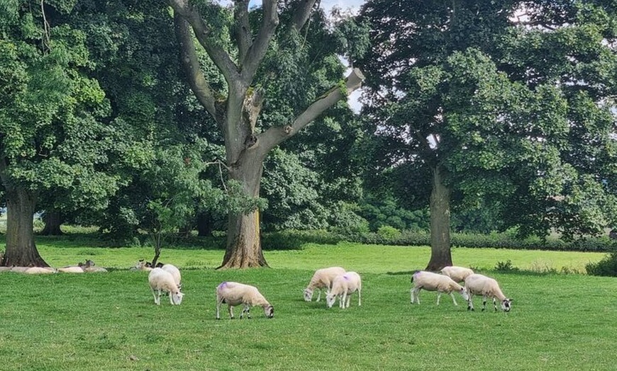 Image 9: From London: 7 Unmissable Cotswolds Stops Small-Group Tour