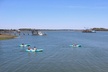 Hilton Head Guided Kayak Tour - Second Medium