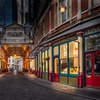 Image 10: London by Night: Luxurious Panoramic Private Tour