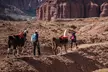 4-hour Llama Trek with Lunch in Scenic Capitol Reef - Second Medium