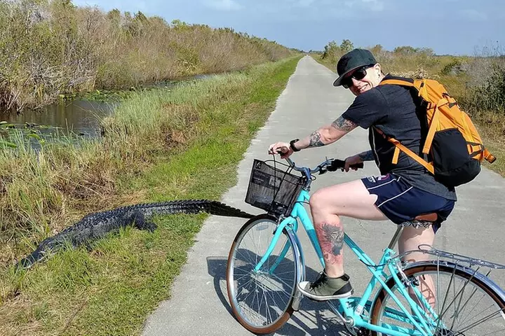Everglades E-Bike Exploration with Airboat - Primary Image