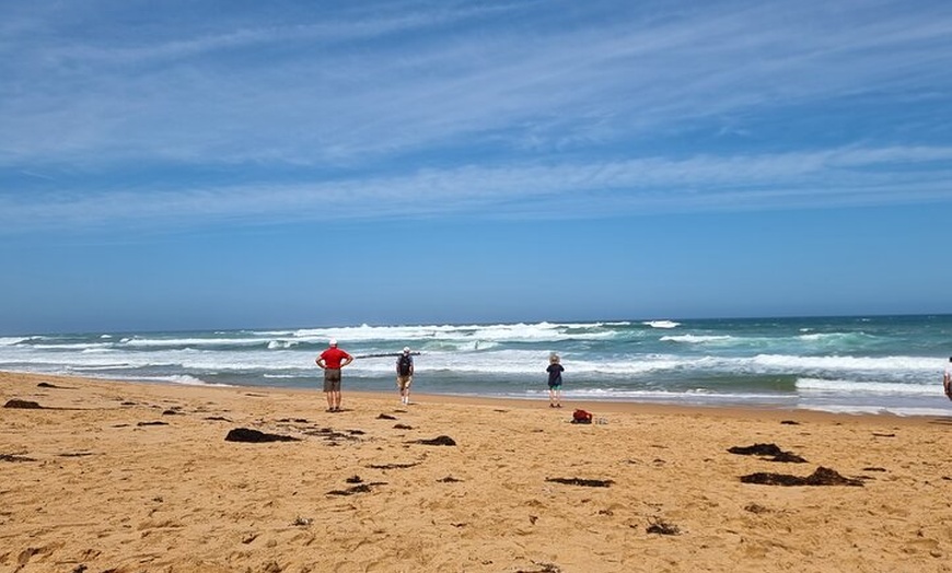 Image 10: Great Ocean Road Private Luxury Tour