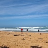 Image 10: Great Ocean Road Private Luxury Tour