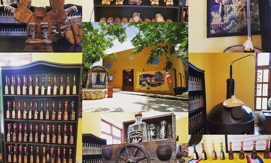 Image 6: All Inclusive to Chichen Itza + Cenote Hubiku & Valladolid