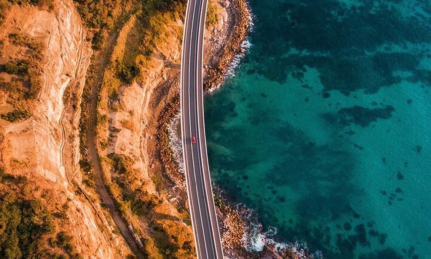 Image 8: Jervis Bay Full Day Tour Dolphin Cruise and Kiama Blowhole