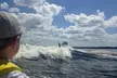 Dolphin Watching aboard the Cold Mil Fleet - Second Medium