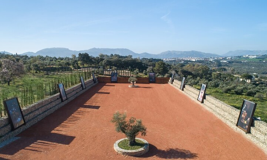 Image 18: LA Almazara Aceite de Oliva y Degustación con Audioguía