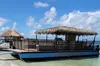Cruisin Tikis Shell Island Big Kahuna Beach and Snorkel Cruise