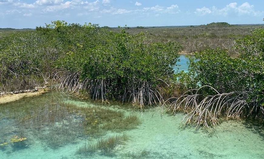 Image 13: Rapids EN Bacalar Tour from Cancun and Riviera Maya