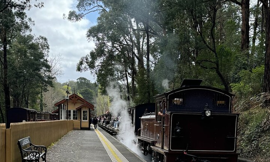 Image 9: Private Puffing Billy Steam Train and Healesville Sanctuary Tours