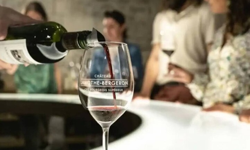 Image 4: Excursion d'une journée complète de Bordeaux à Saint Émilion avec d...