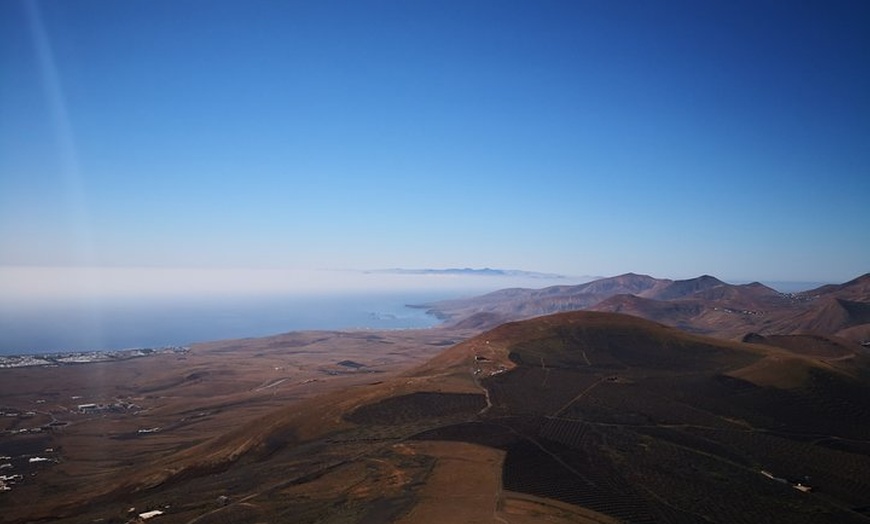Image 6: Recorrido a pie de medio día para grupos pequeños por los viñedos d...