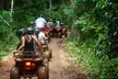 Jungle Zipline and ATV Shared Adventure in Riviera Maya - Second Medium