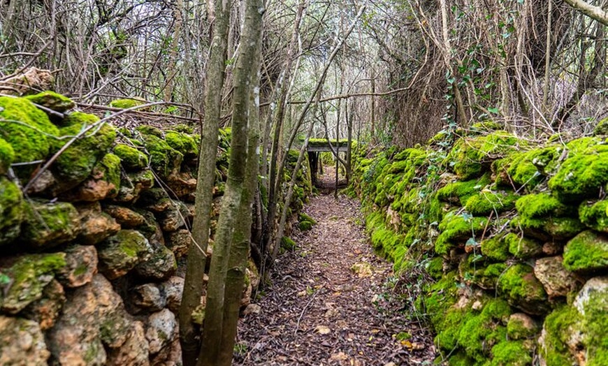 Image 20: Visita al Bosque Encantado de Córdoba en Hornachuelos