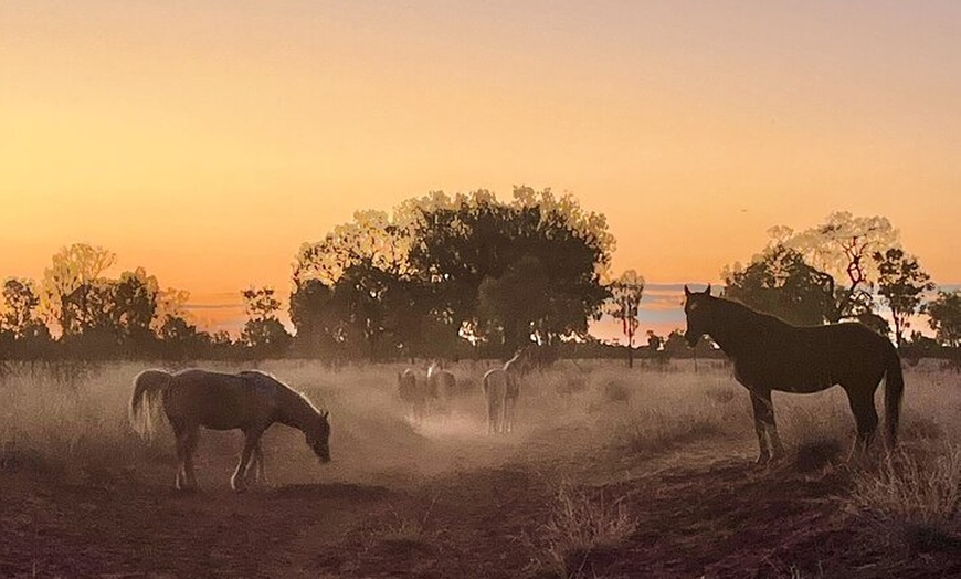 Image 15: 3-Day Kings Canyon & West MacDonnell Ranges 4WD Camping Tour