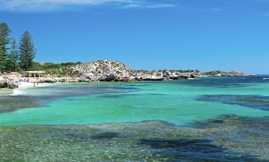 Image 3: Quokkas Delight Rottnest Island