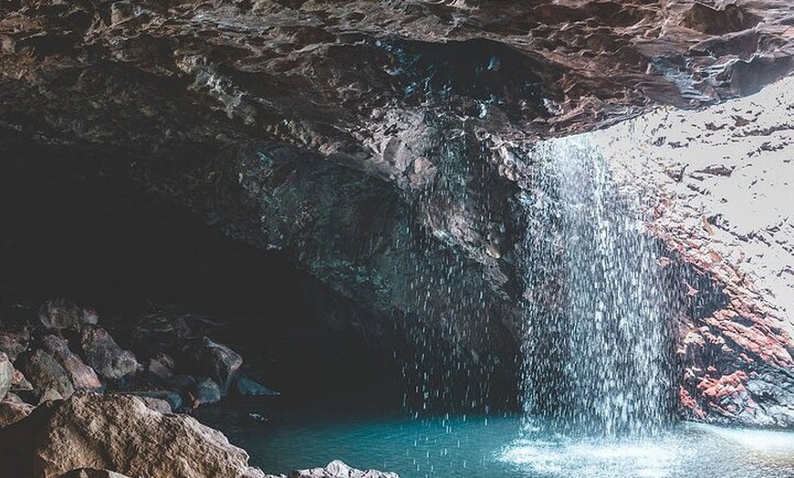 Image 5: Springbrook andTamborine Rainforest Tour Incl Natural Bridge and Gl...