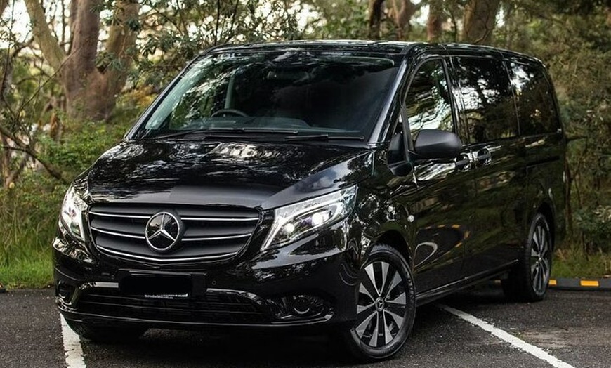 Image 4: Blue Mountains Sunset Tour | See Kangaroos & Koalas (Private Tour)