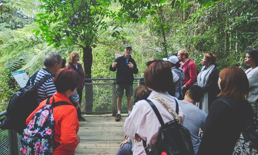 Image 3: Blue Mountains Day Tour with Wildlife, Walks and Scenic World