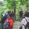 Image 3: Blue Mountains Day Tour with Wildlife, Walks and Scenic World