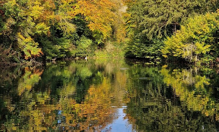 Image 10: Surrey Hills full day tour with local guide