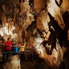 Image 1: Wombeyan Caves: Wollondilly Cave Guided Tour